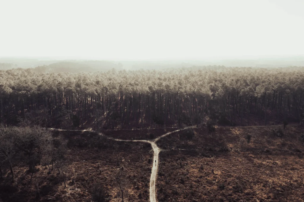 Forêt des Landes-Hossegor